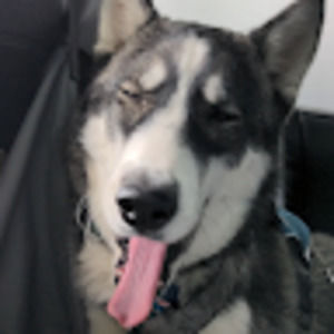 Meet your Posher, Juleus